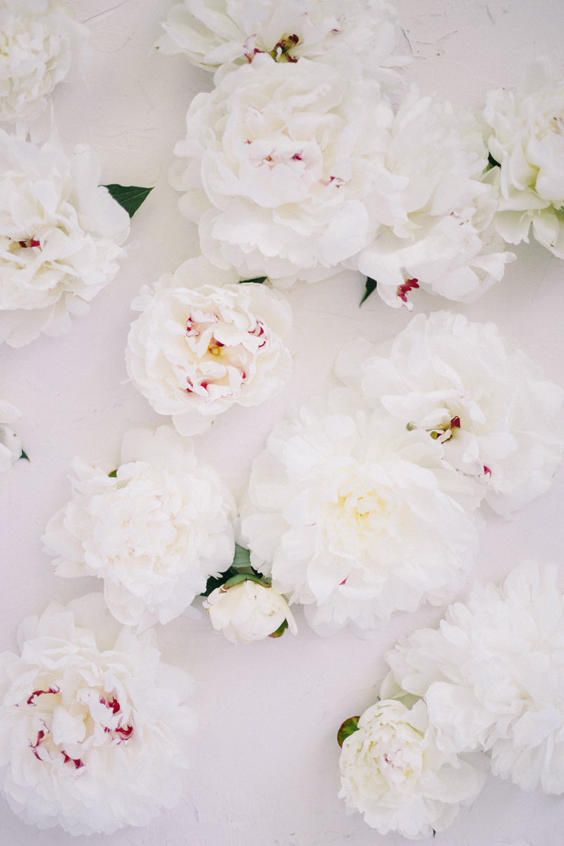 Peonies | All White Wedding Bouquet Preservation