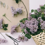 modern wedding bouquet preservation lilac