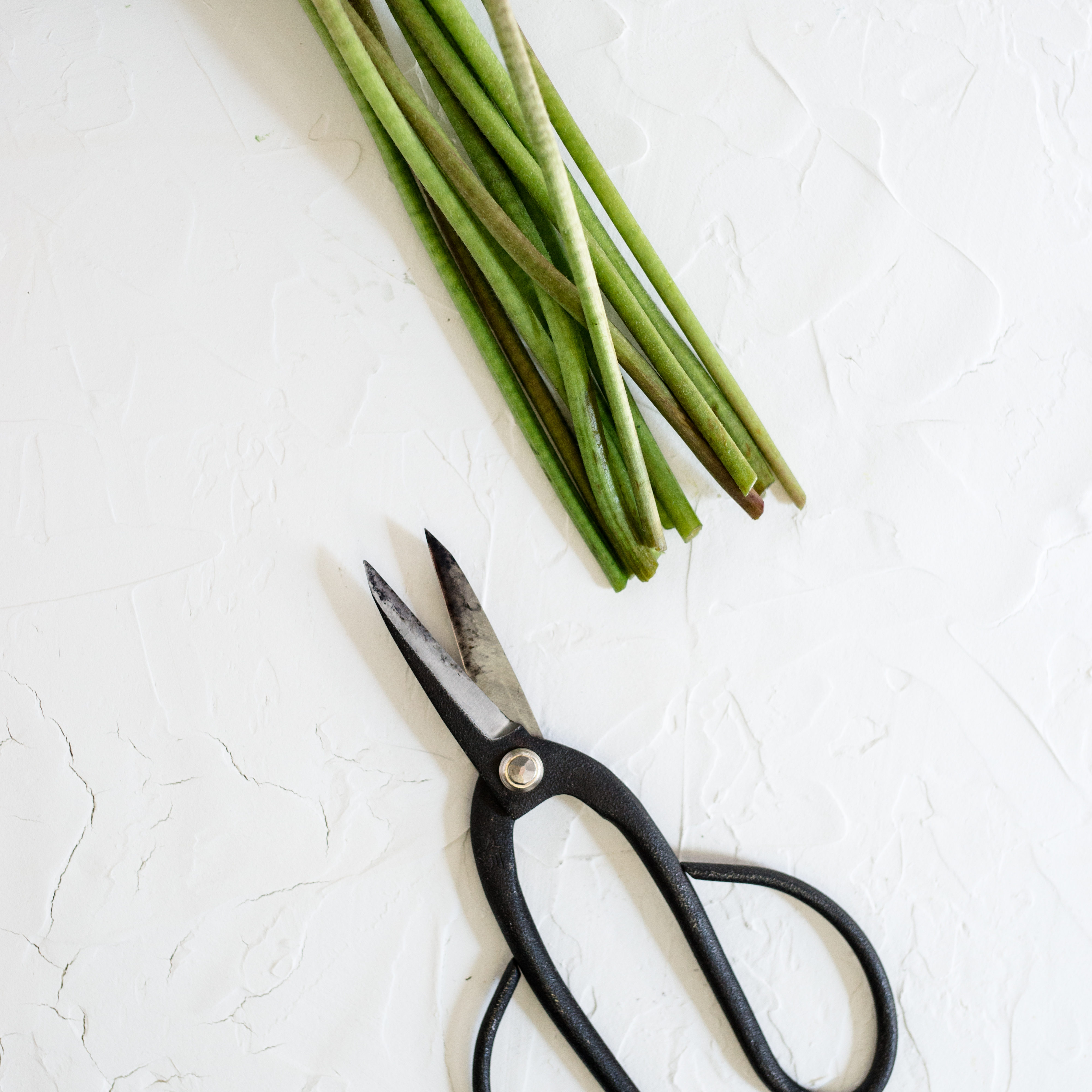 steps to preserving your wedding bouquet